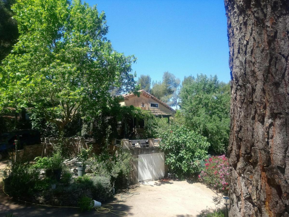 Maison De Charme Avec Piscine Et Jacuzzi Dans Cadre Exceptionnel Proche Marseille Mirabeau Exterior foto